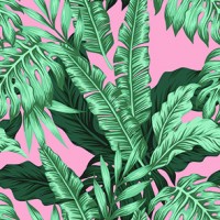 REP-46 (TROPICAL PINK)